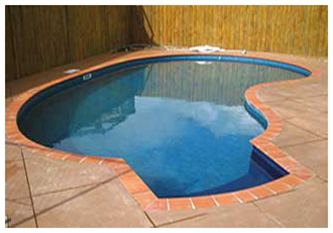 SMALL KIDNEY SHAPE POOL